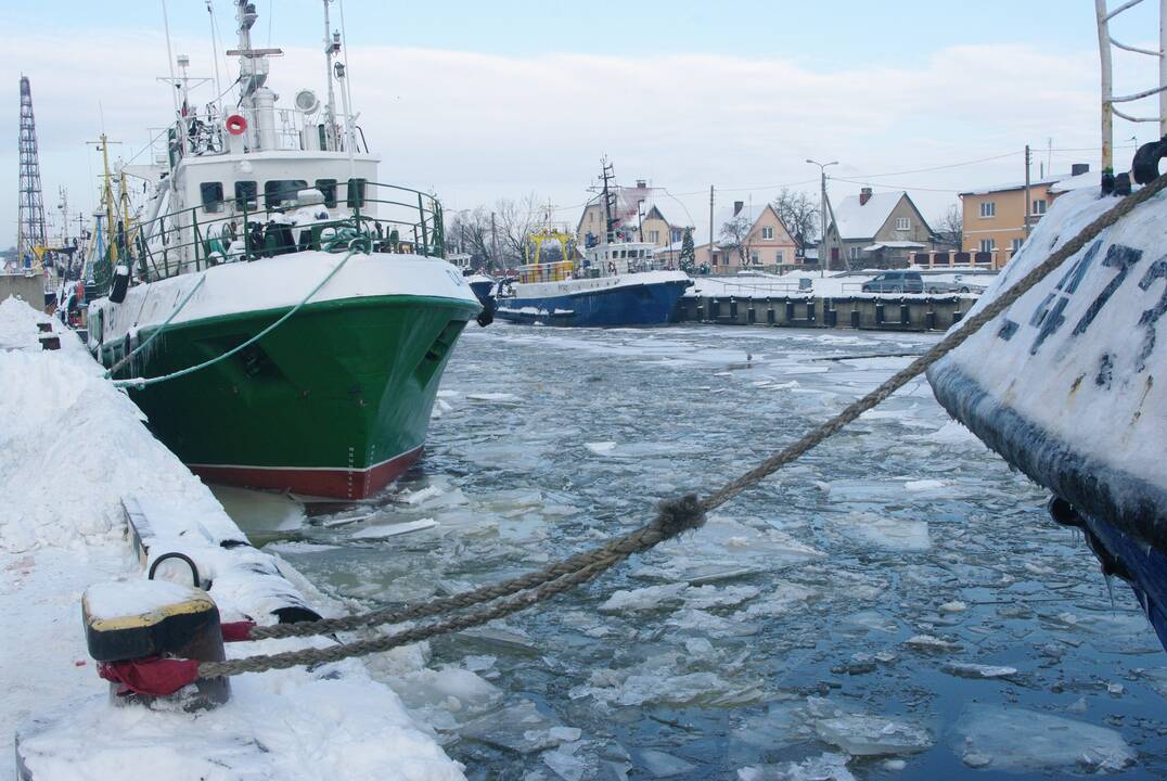 Nuostaba: laiku nespėjus paruošti kvotų skirstymo tvarkos šių metų pradžioje, žvejai negalėjo pradėti žvejybos.