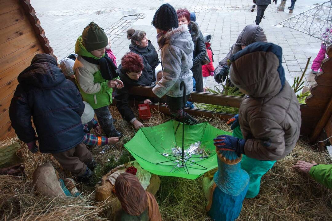 Prakartėlė kartu su avelėmis iškeliauja Iš Kauno rotušės aikštės