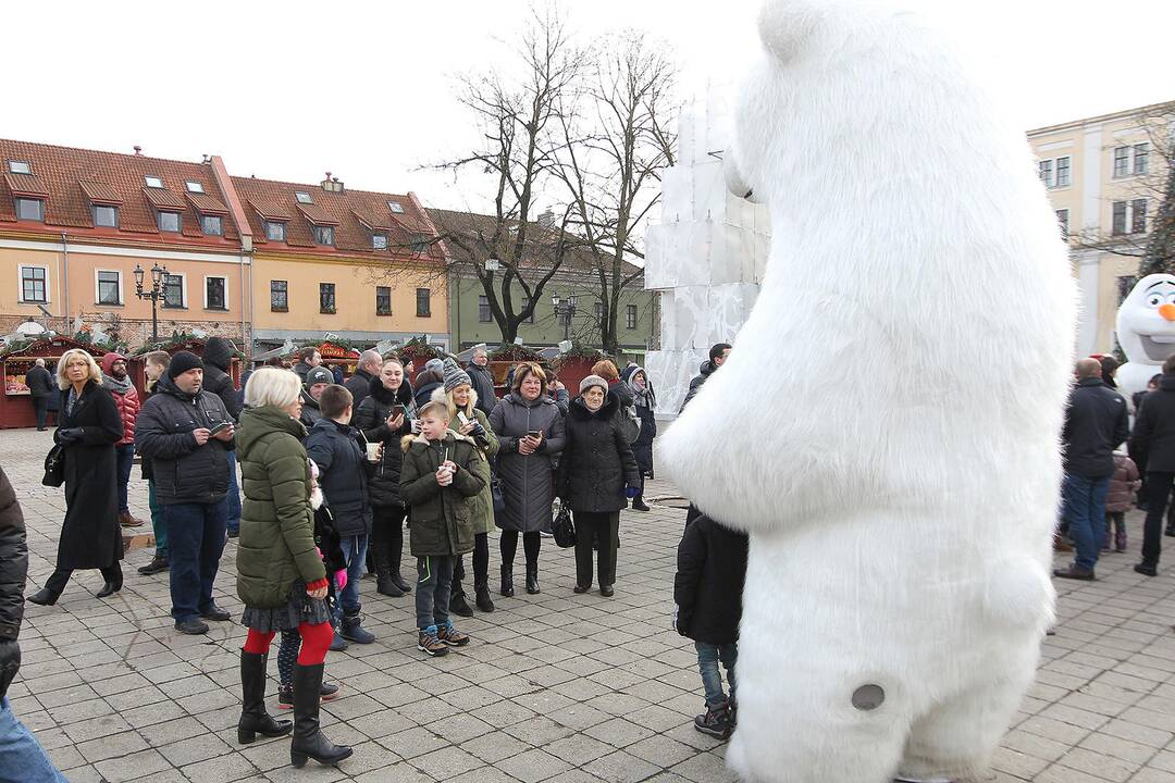 Antroji Kalėdų diena prie Kauno eglės