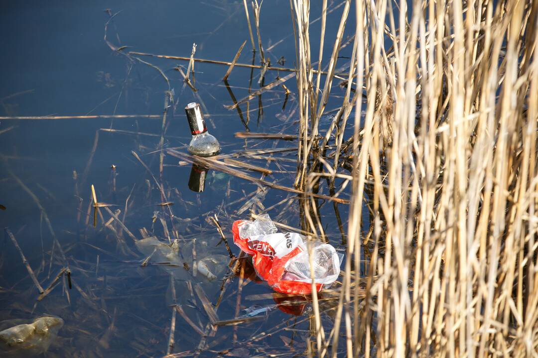 Kalniečių parkas