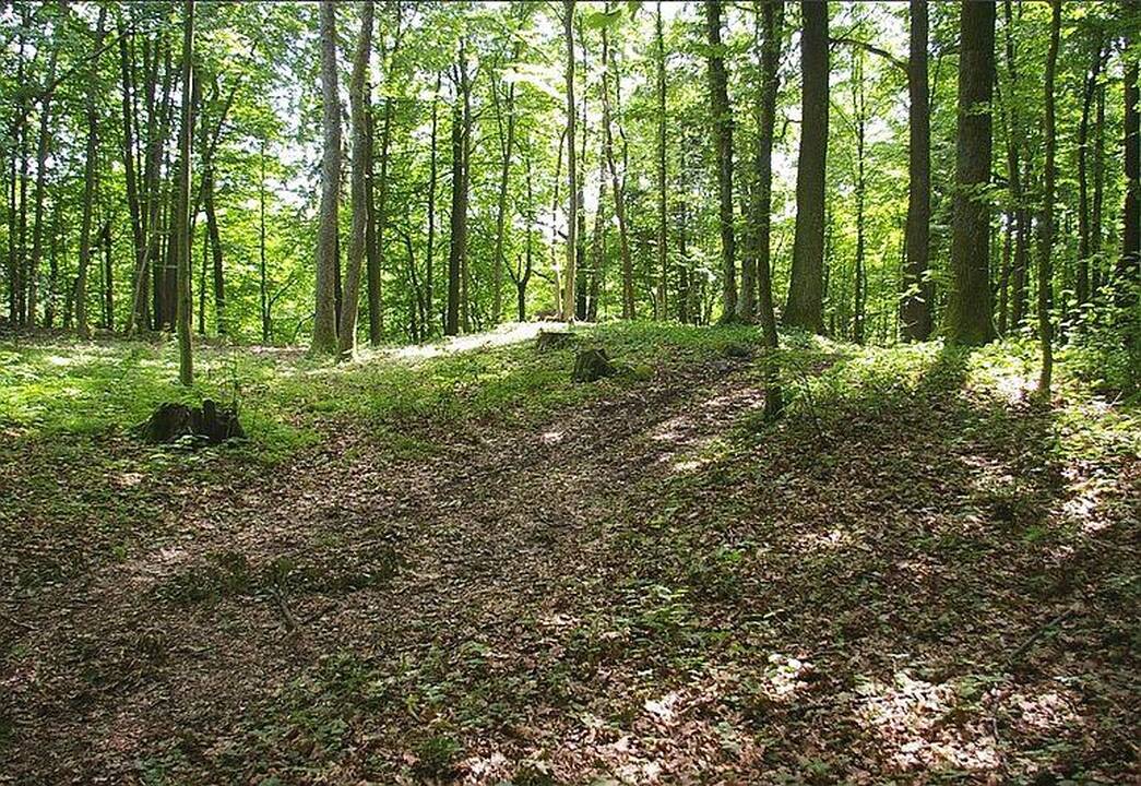 Kalno Grikštų piliakalniai Kretingos krašte