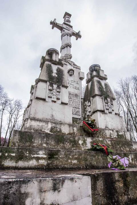 Apsamanojęs žuvusių už Tėvynę paminklas