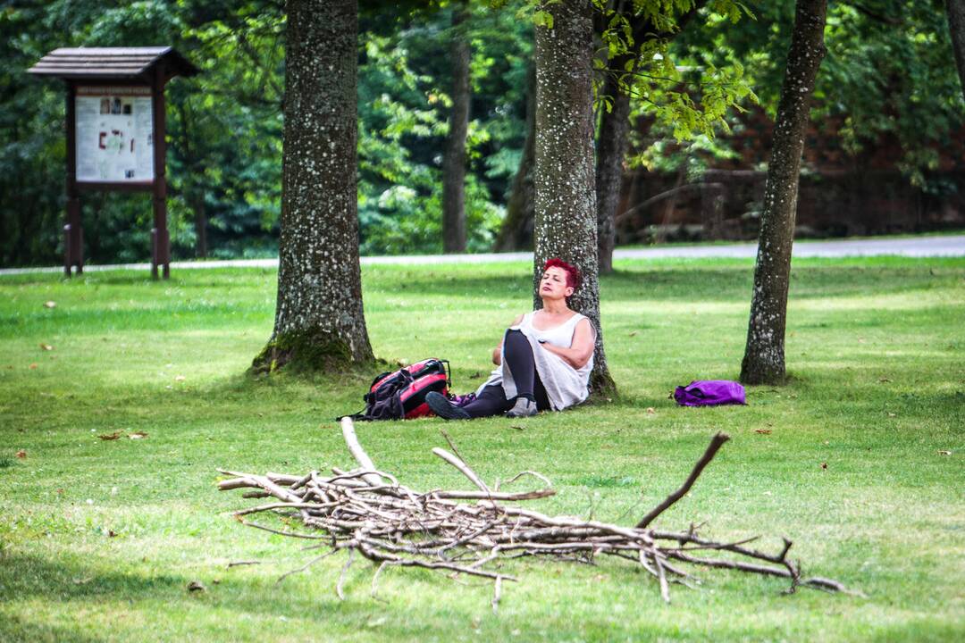 Landart meno kūrimas Raudondvario dvaro parke