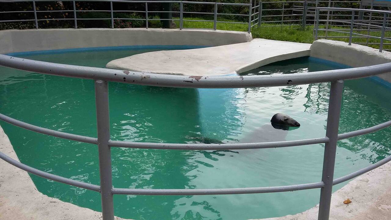 Meškos laikymo sąlygos "Gamtos perle".