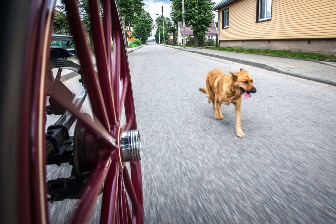 Žolinių šventė prisimenant Marvos dvarą