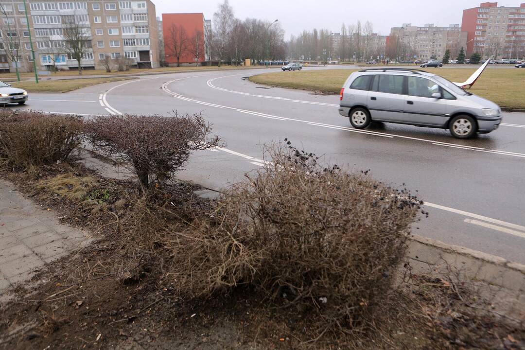 Automobilis atsitrenkė į namo tvorą