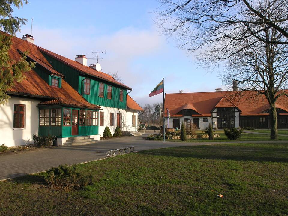 Neringa Poškutė. Tiltas (emalis).