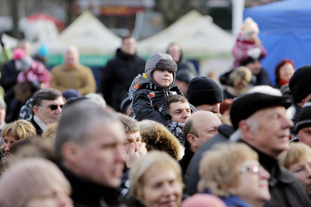 Palangoje kunkuliuoja stintų šventė