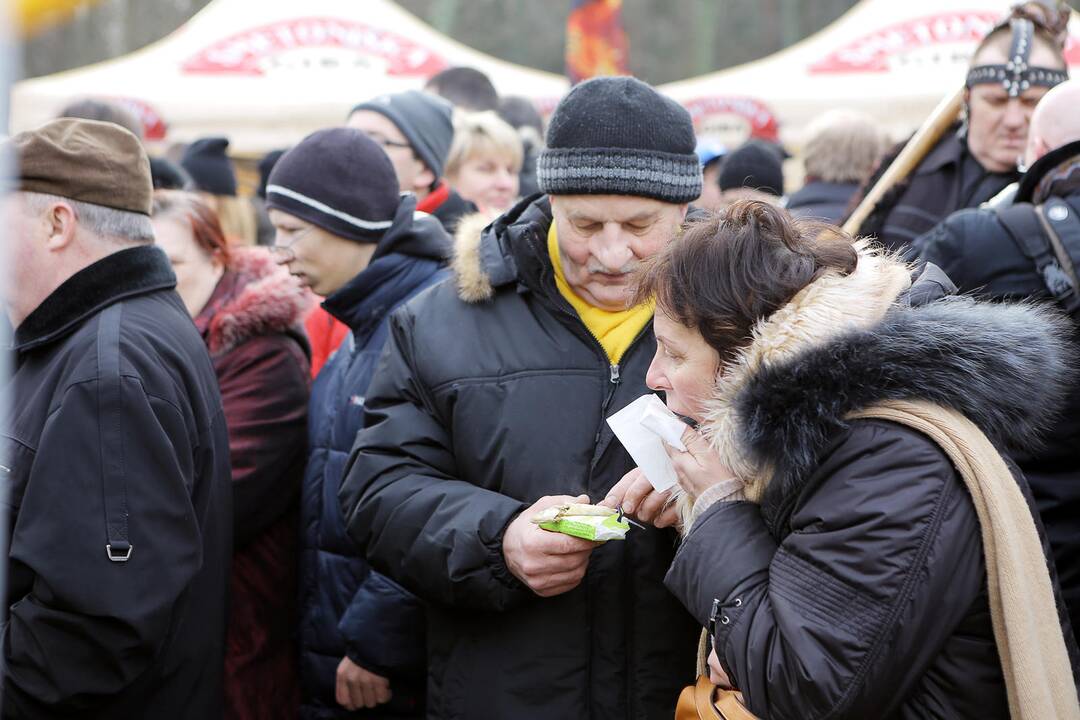 Palangoje kunkuliuoja stintų šventė