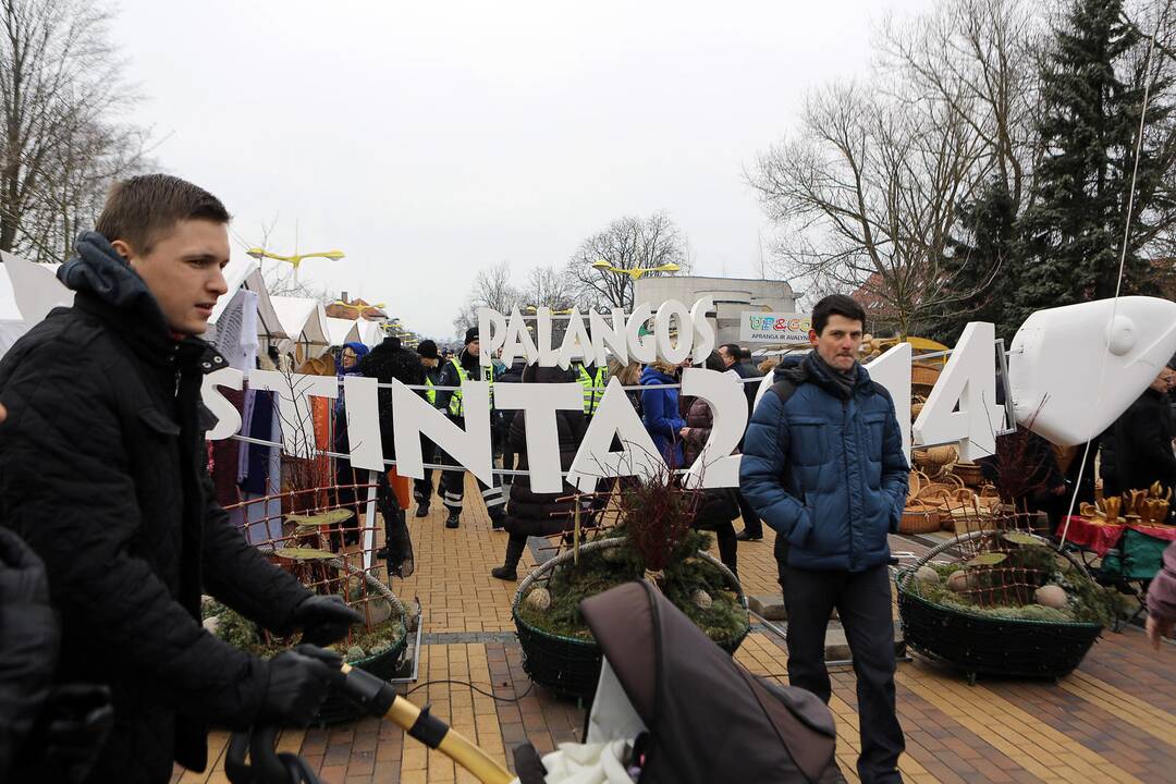 Palangoje kunkuliuoja stintų šventė