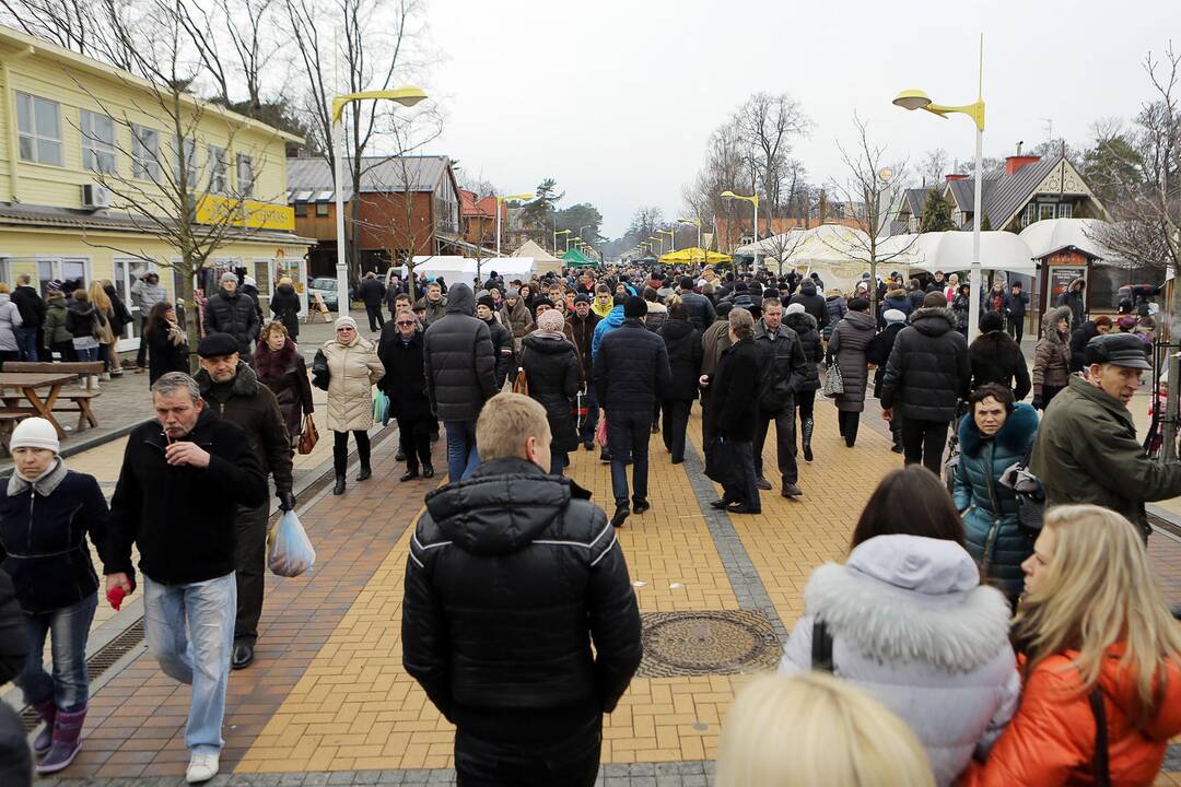 Palangoje kunkuliuoja stintų šventė