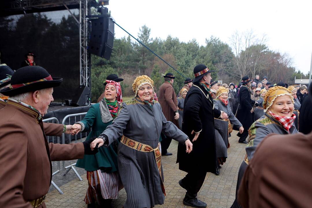 Palangoje kunkuliuoja stintų šventė