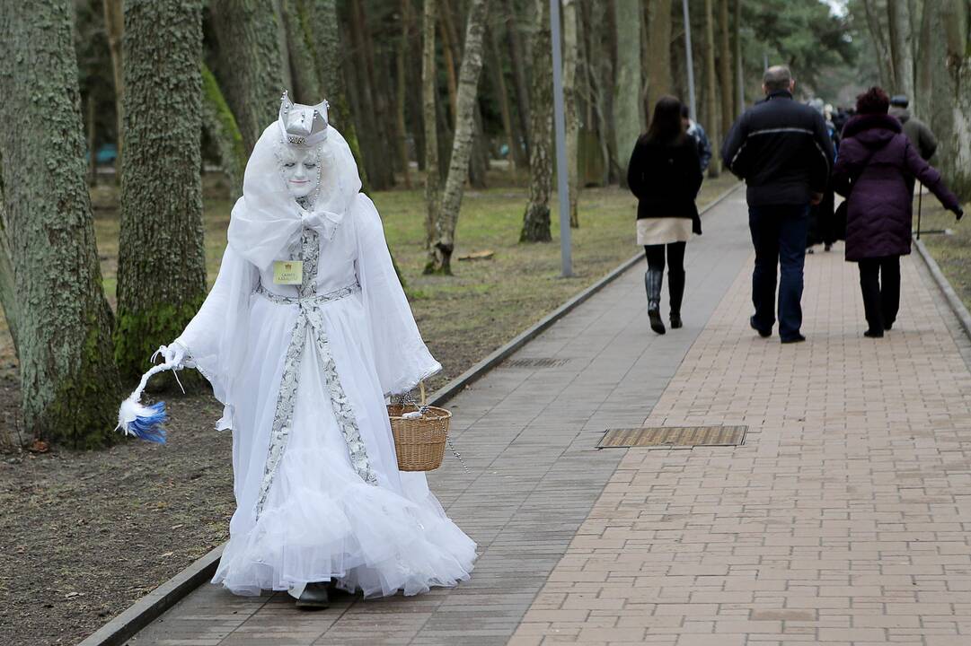 Palangoje kunkuliuoja stintų šventė
