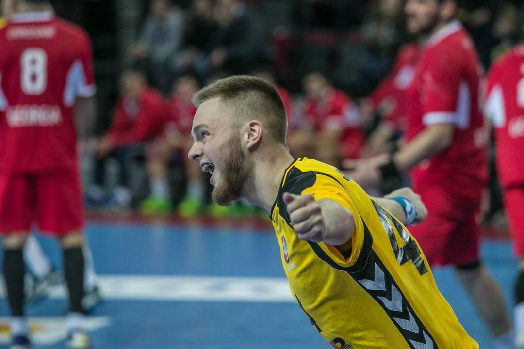 Lietuva - Gruzija 24:20