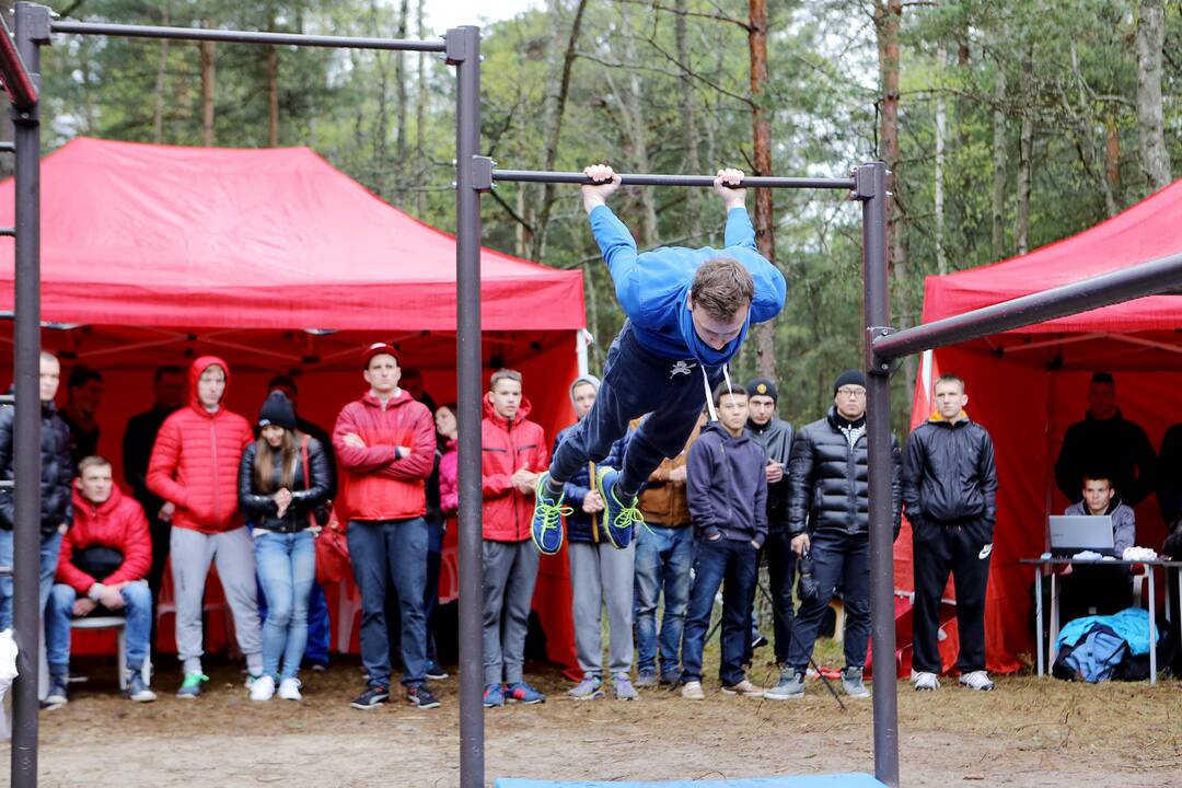 Gatvės gimnastika