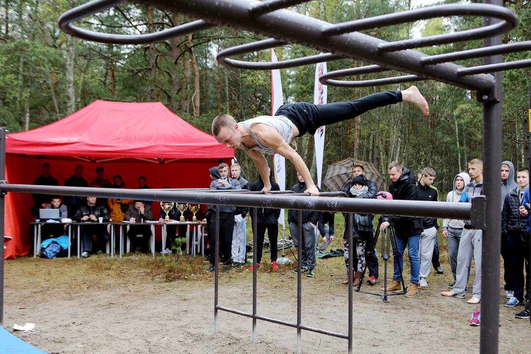 Gatvės gimnastika