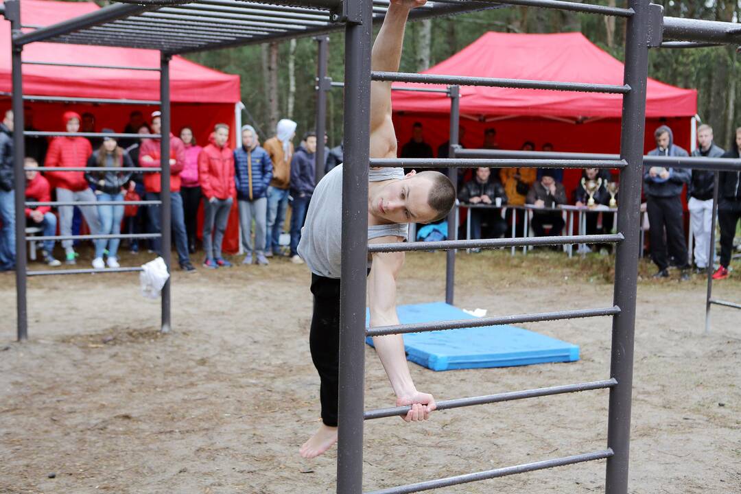 Gatvės gimnastika