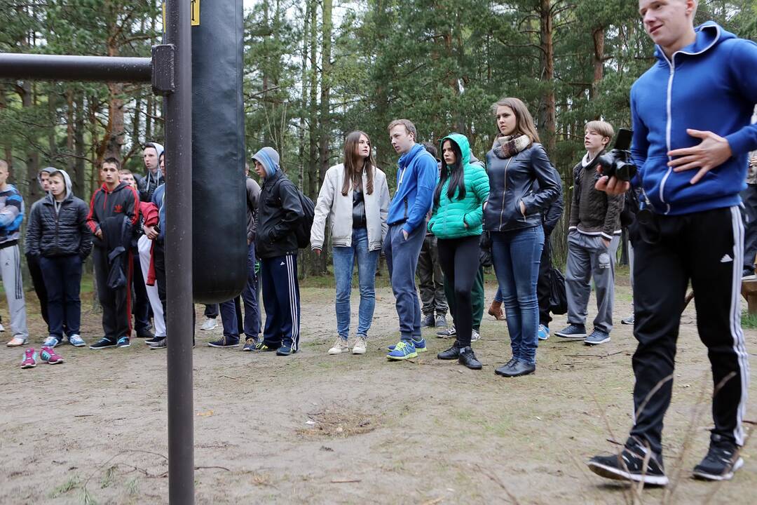 Gatvės gimnastika
