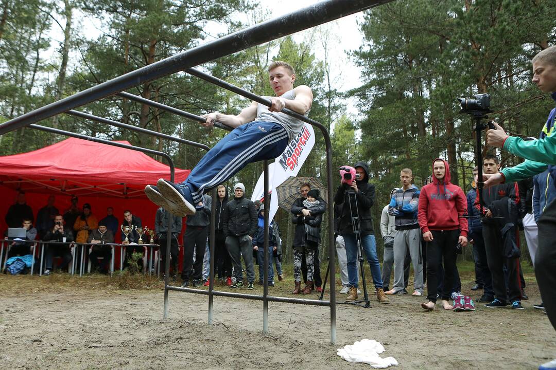 Gatvės gimnastika