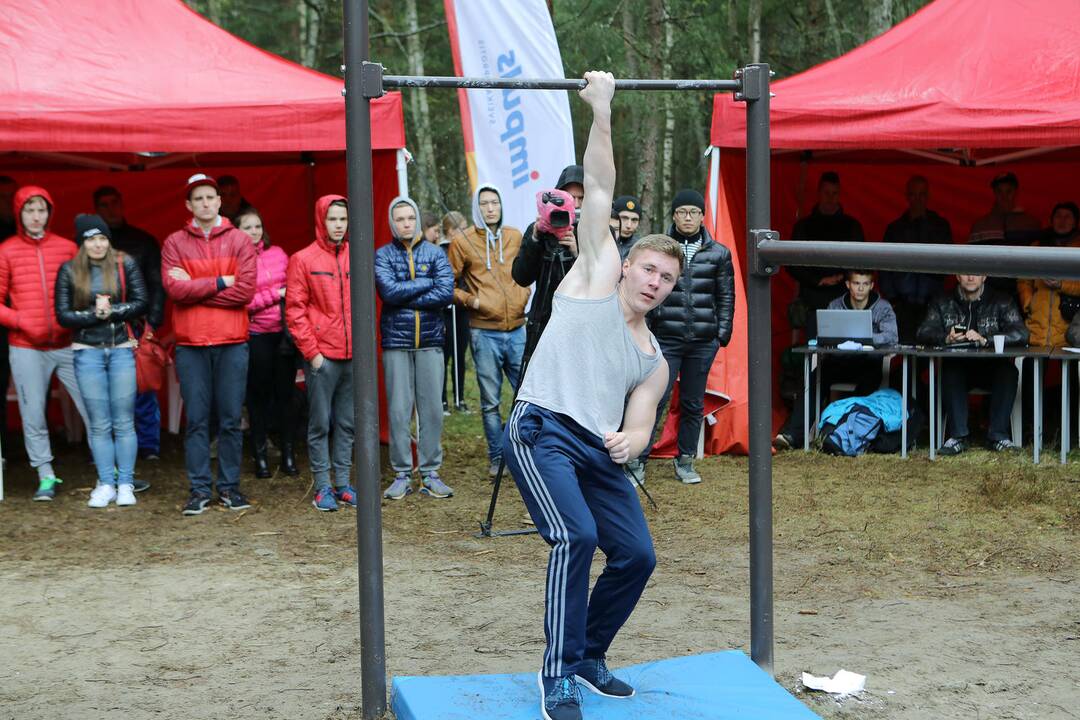 Gatvės gimnastika