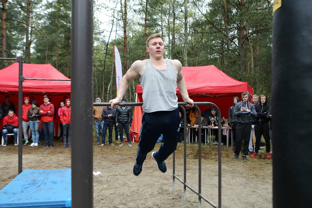 Gatvės gimnastika