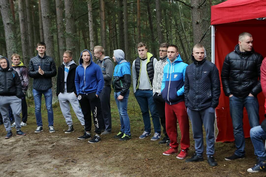 Gatvės gimnastika