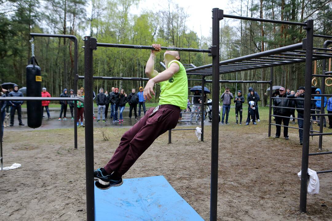 Gatvės gimnastika