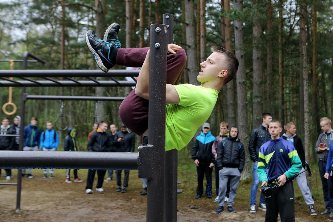 Gatvės gimnastika