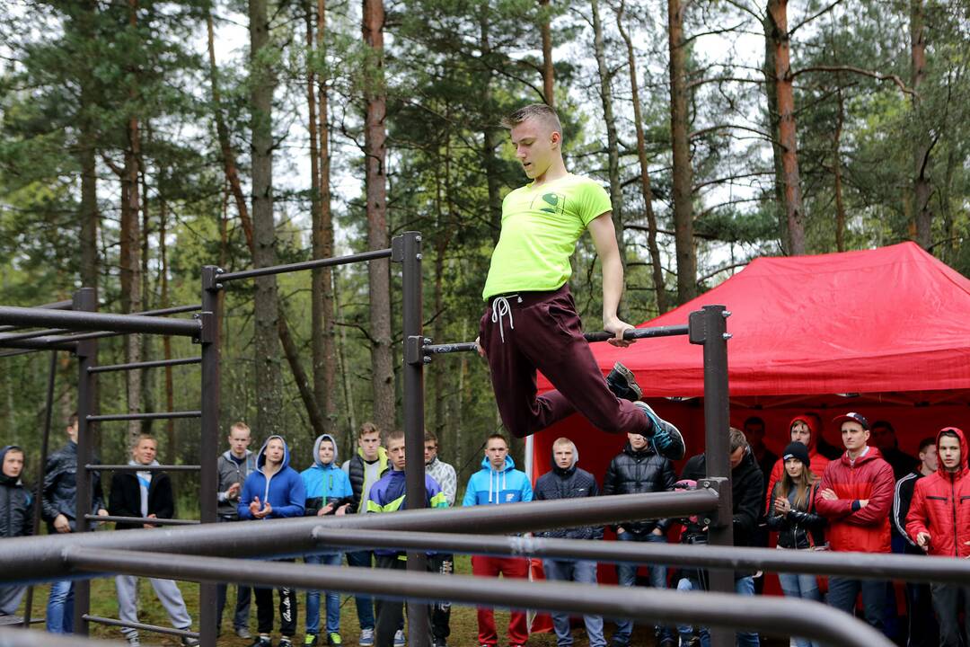 Gatvės gimnastika