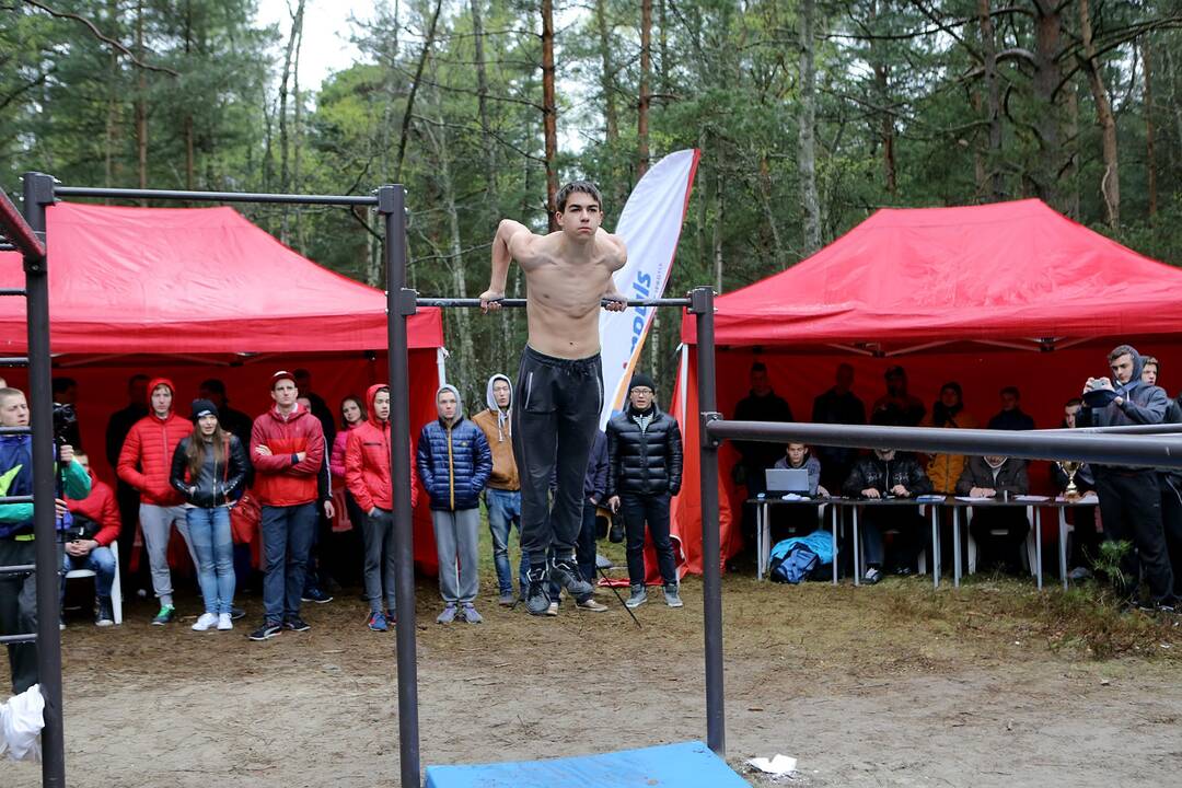 Gatvės gimnastika