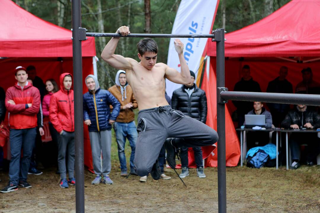Gatvės gimnastika