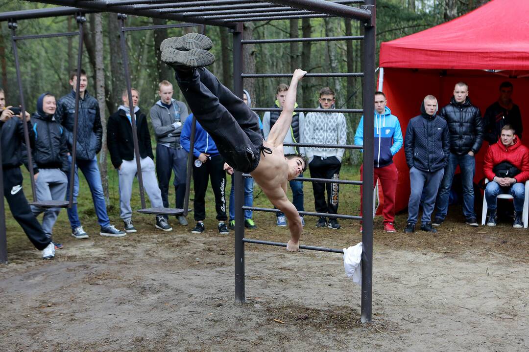 Gatvės gimnastika