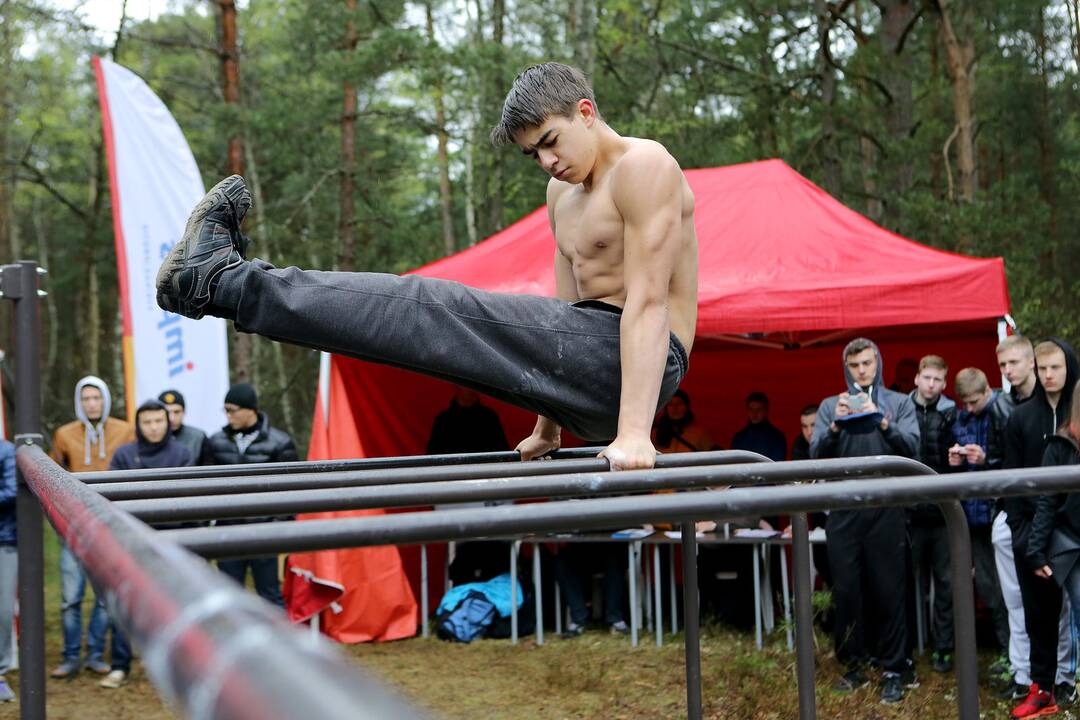 Gatvės gimnastika