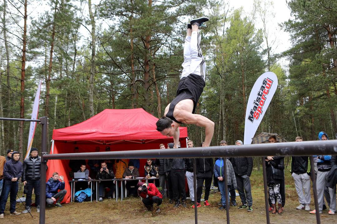 Gatvės gimnastika