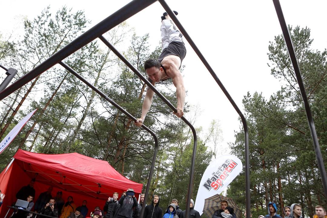 Gatvės gimnastika
