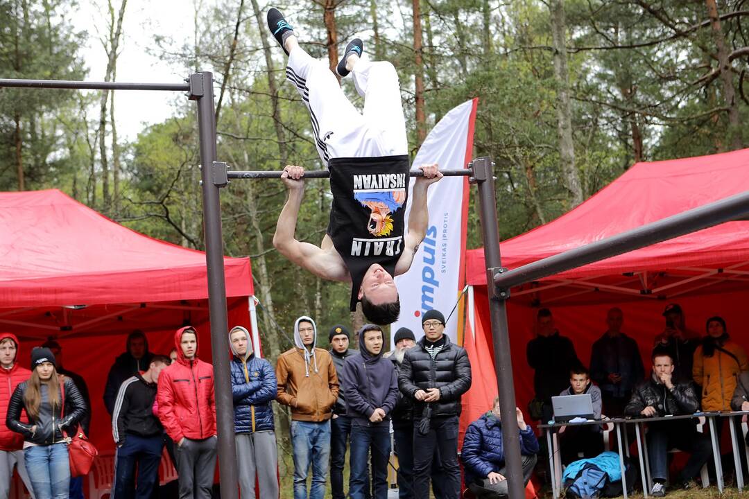 Gatvės gimnastika