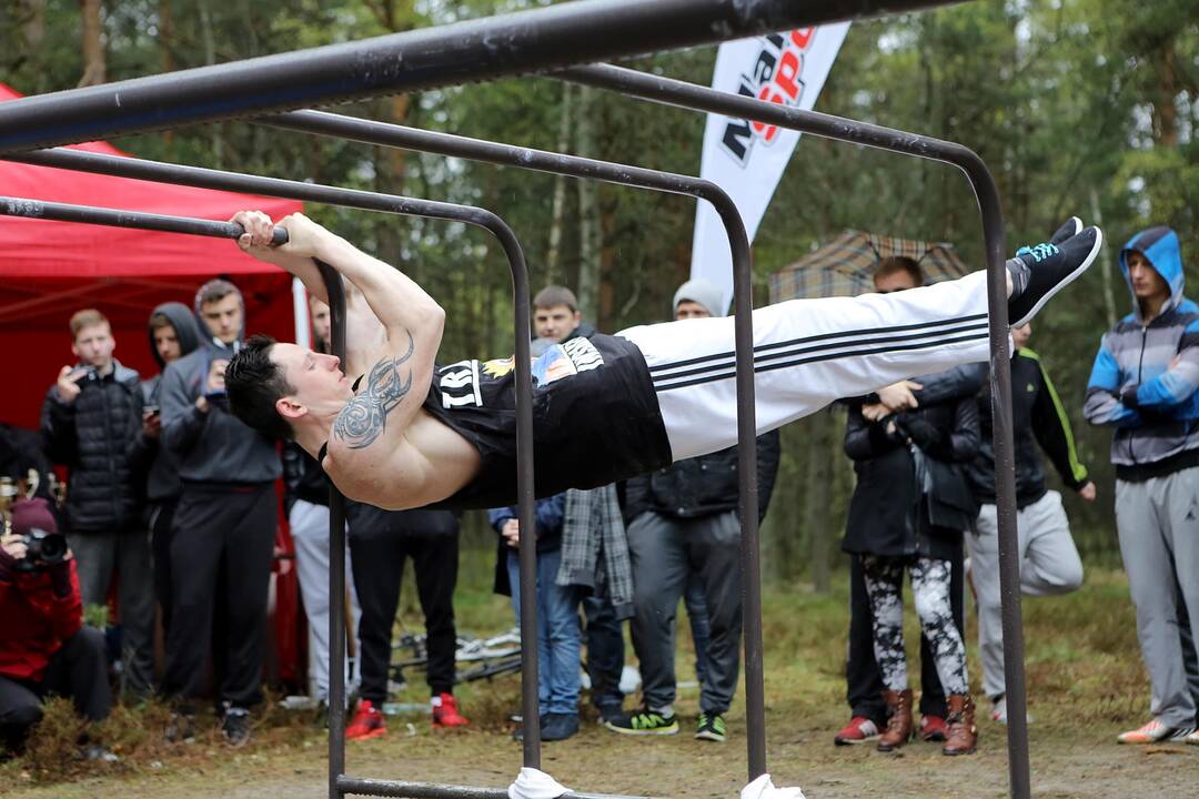 Gatvės gimnastika