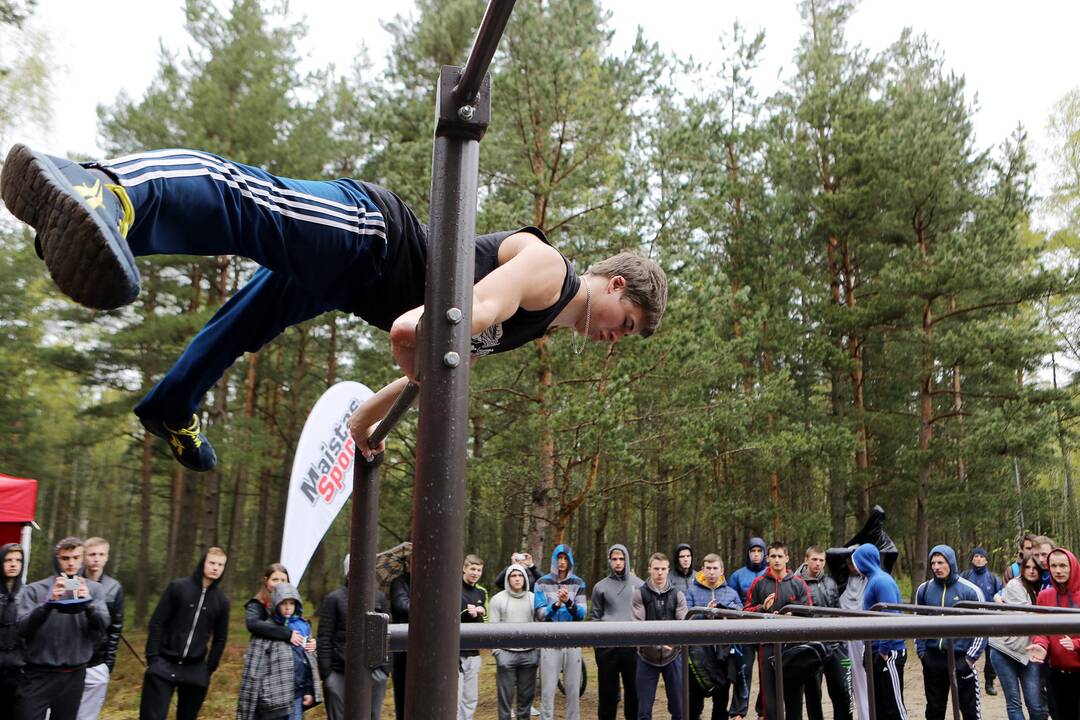 Gatvės gimnastika