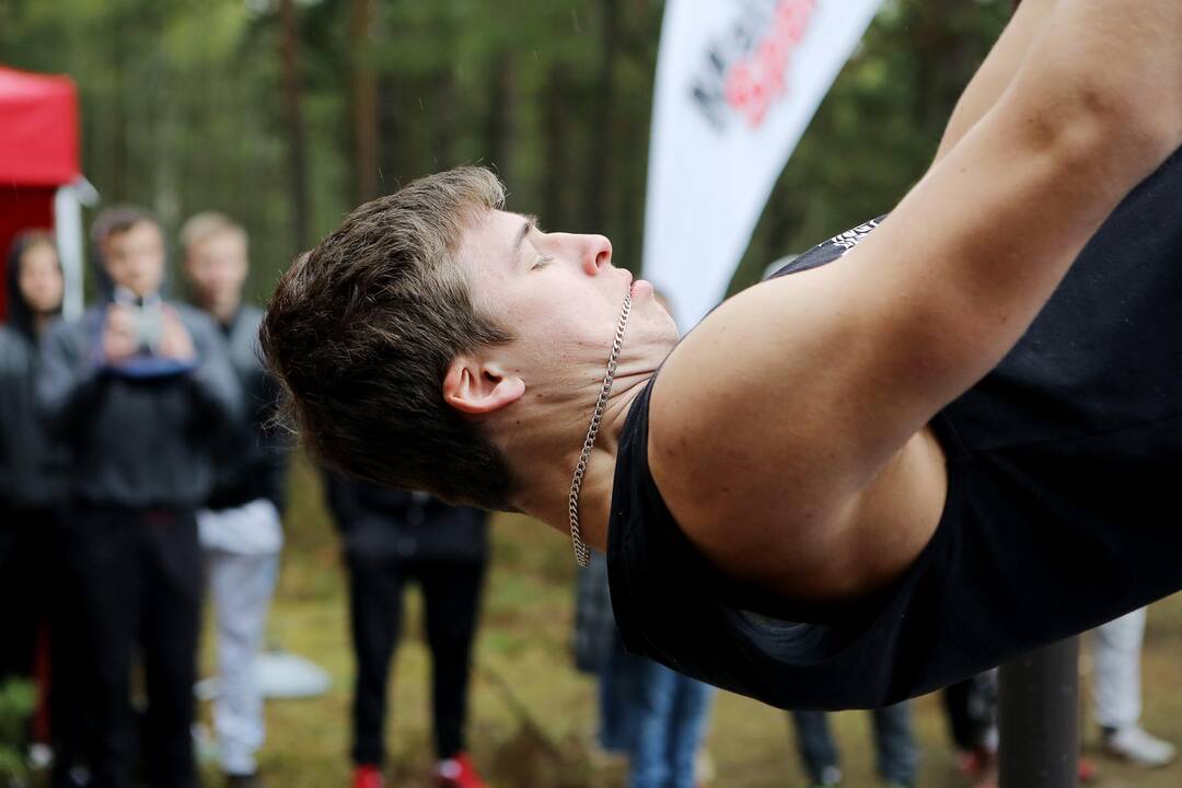 Gatvės gimnastika