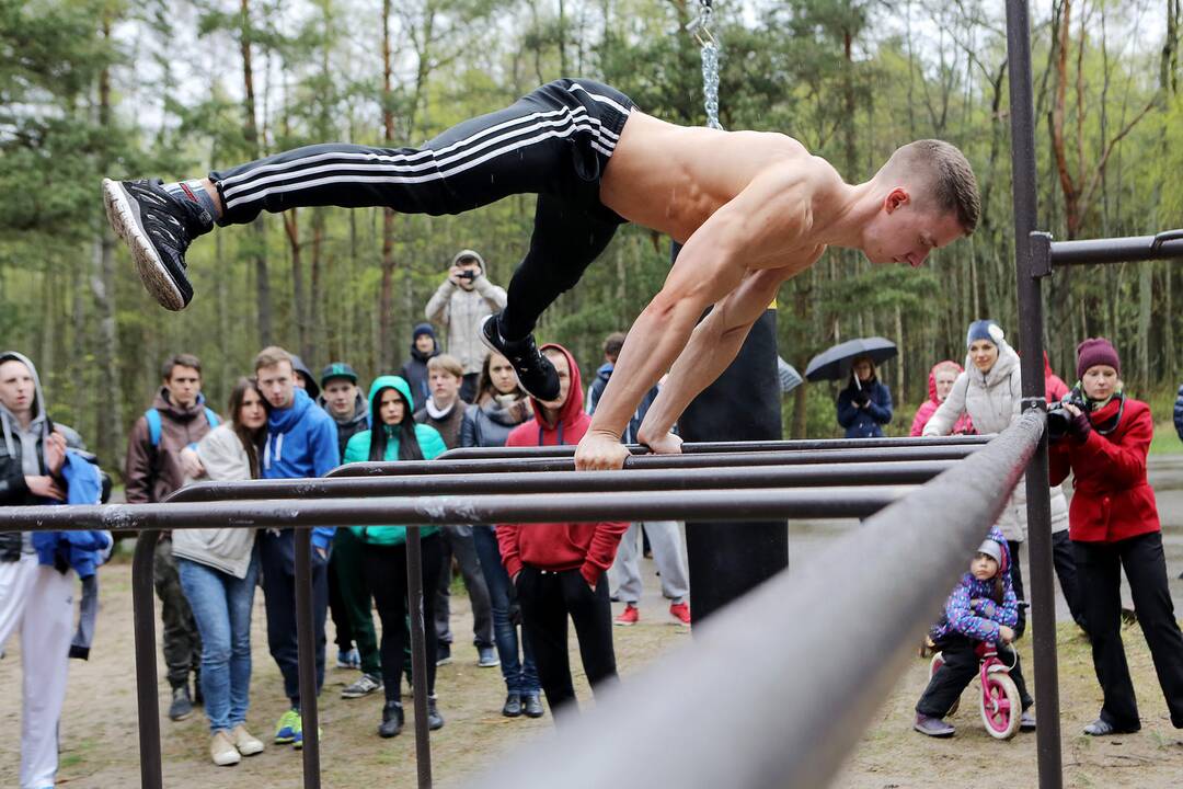 Gatvės gimnastika