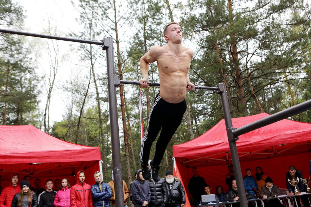 Gatvės gimnastika