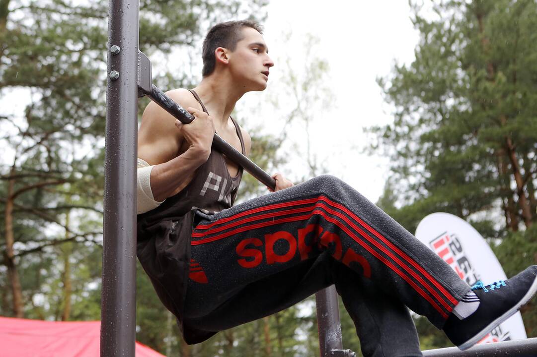 Gatvės gimnastika