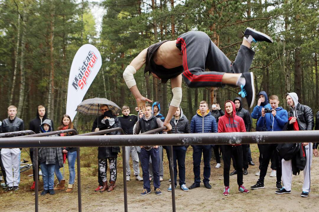 Gatvės gimnastika