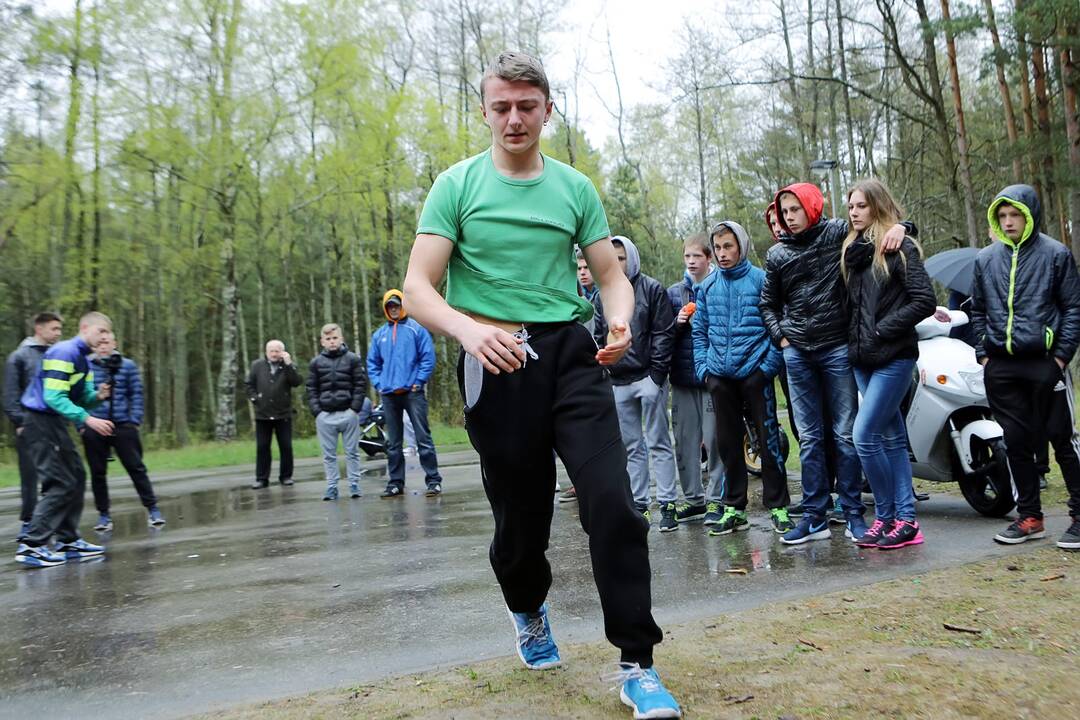 Gatvės gimnastika