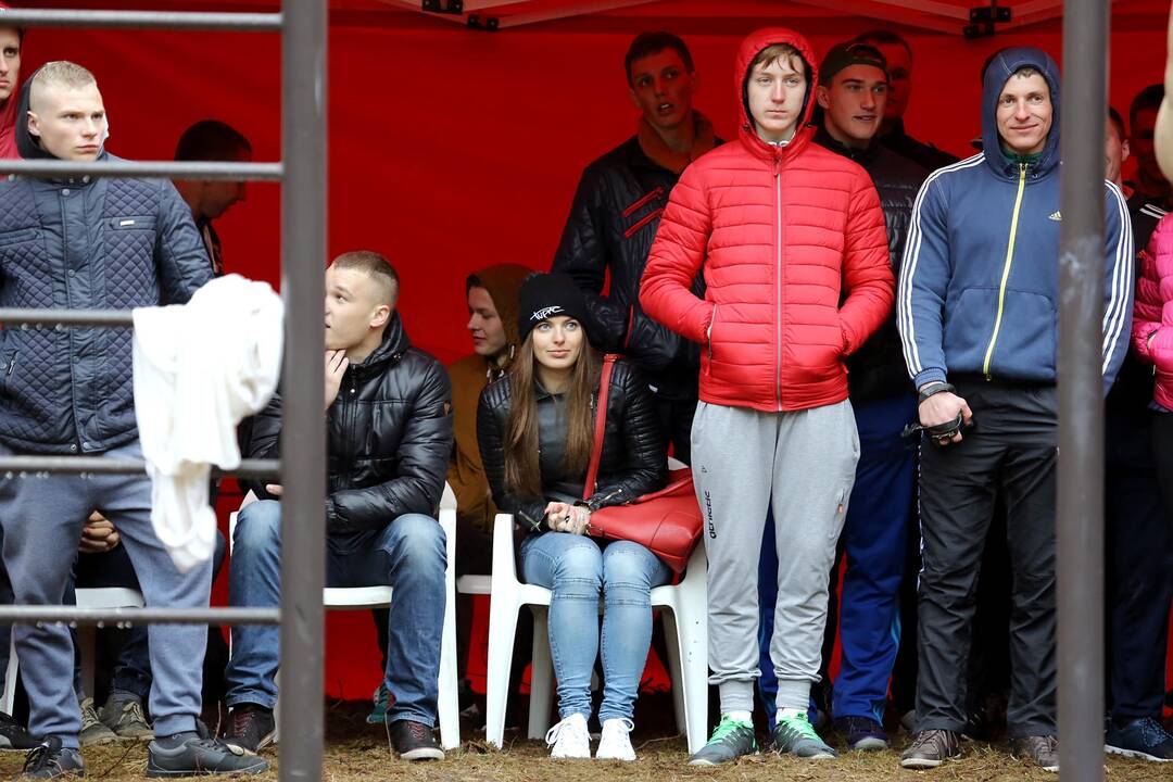 Gatvės gimnastika