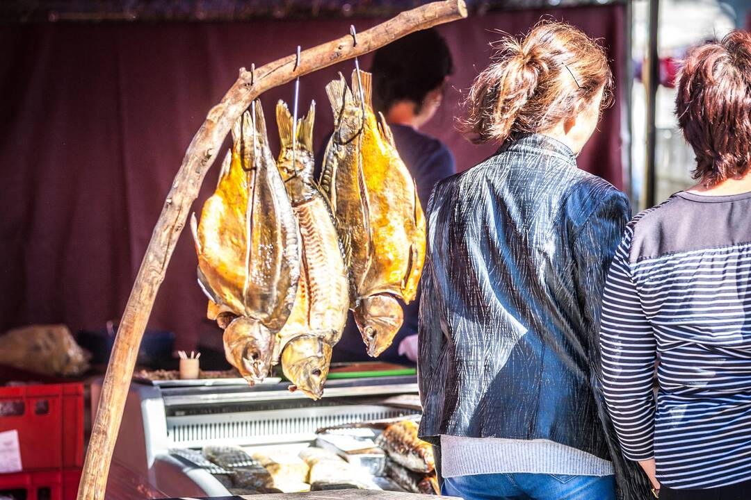 Rudens gėrybių mugė Laisvės alėjoje