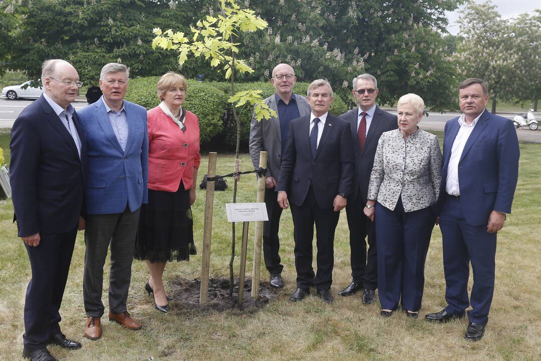 Seimo pirmininkai pasodino ąžuolą