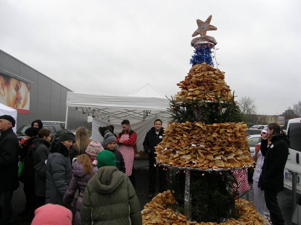 Trijų metrų žagarėlių eglutė