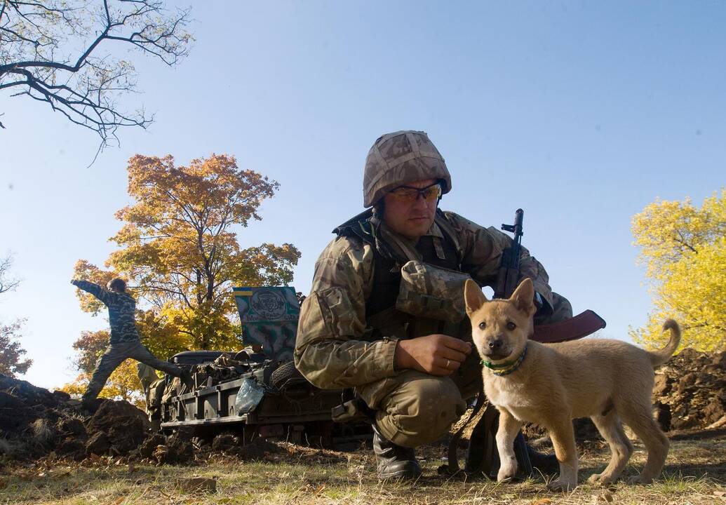 Ukrainos kariai per paliaubas