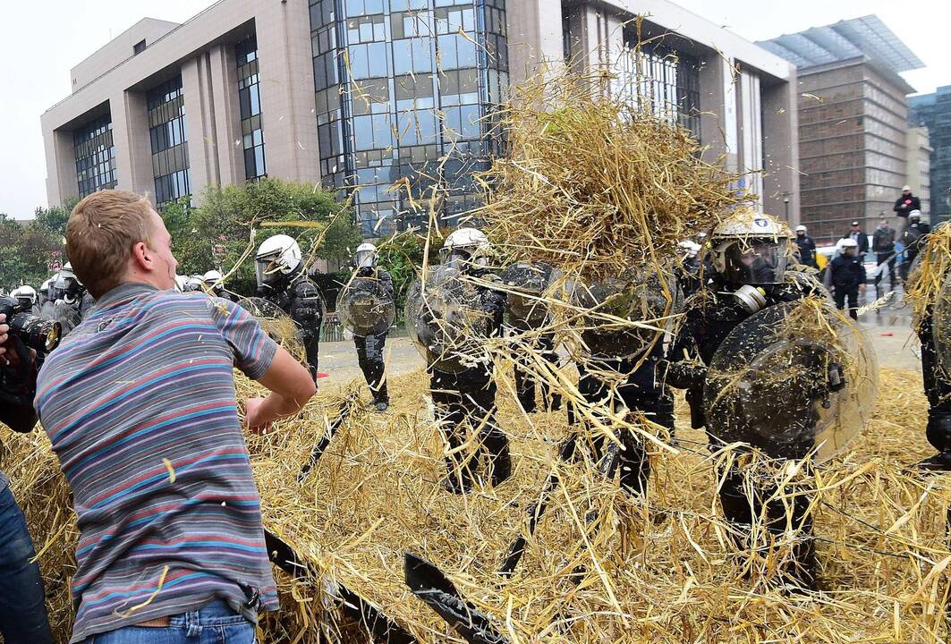 Briuselyje protestavo žemdirbiai